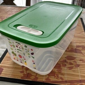 Large Tupperware veggie container.  Good condition.